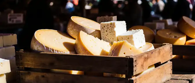 Рост поставок молочной продукции из России обеспечил увеличение импорта сыра в Грузию в августе
