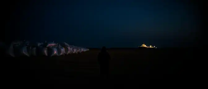 Угроза продовольственному кризису: из-за блокировки портов Украина может лишиться 12 миллионов тонн зерна